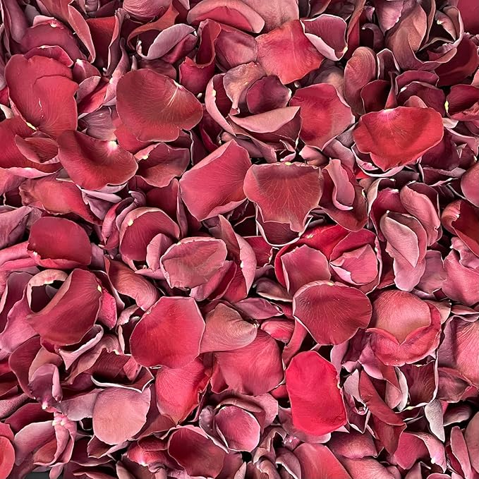 Rose Petals for Wedding Decoration, Bridal Toss, and Aisles, 10 cups, Freeze Dried, Use within 1 month (Burgundy)