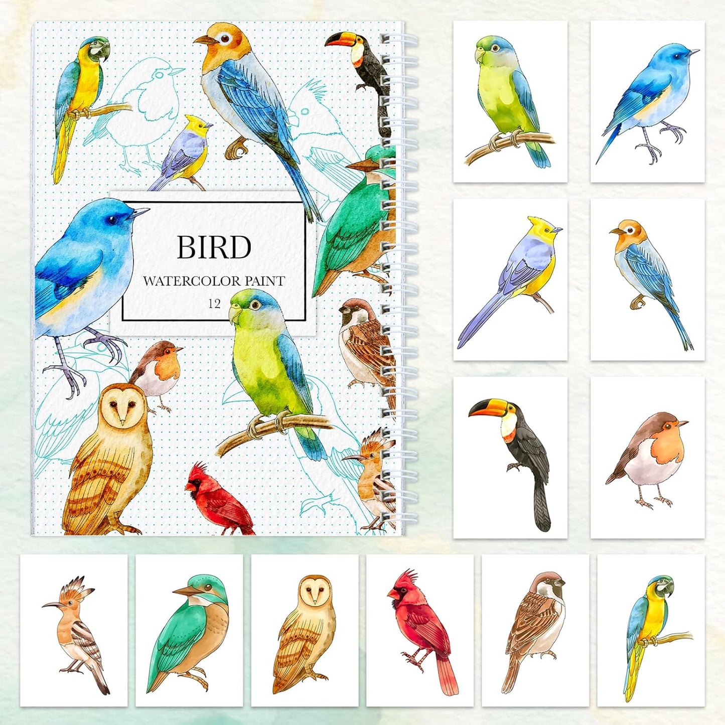 Watercolor Workbooks with Step by Step for Adults Teens - Beginner Watercolor Workbook with 12 Coloring Book Pages -100% Cotton 300gsm/140lb Watercolor Paper (Birds)