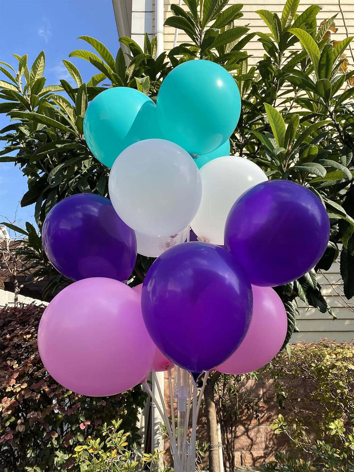 60 Count 12-Inch Dark Violet Purple Teal Pink White Latex Balloons - Wedding Birthday Baby Shower Decorations, Party Supplies