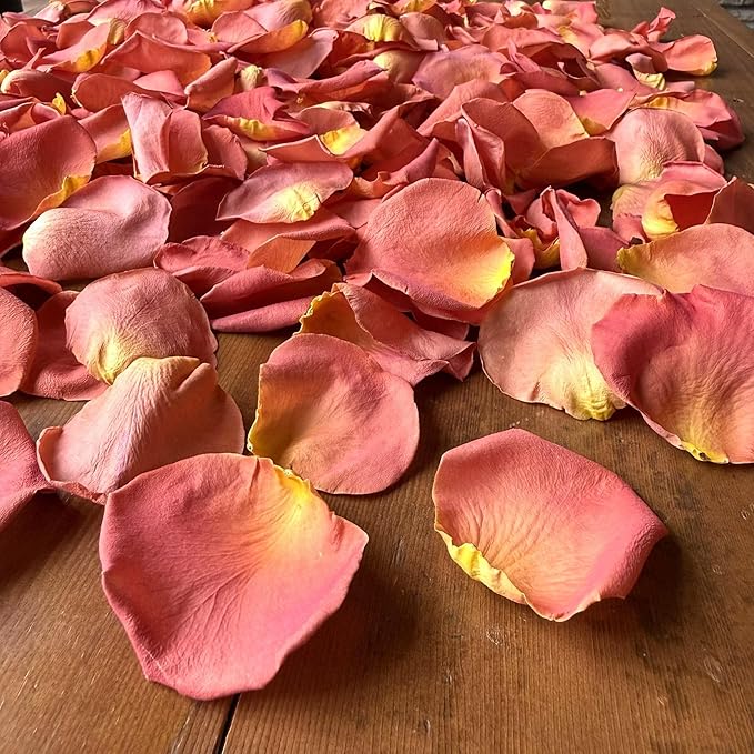 Rose Petals for Wedding Decoration, Bridal Toss, and Aisles, 10 cups, Freeze Dried, Use within 1 month (Coral)