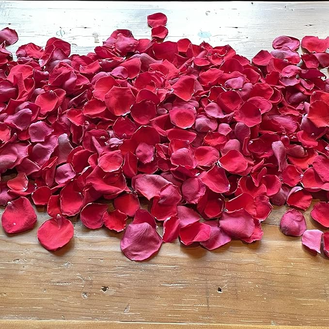 Rose Petals for Wedding Decoration, Bridal Toss, and Aisles, 10 cups, Freeze Dried, Use within 1 month (Red)