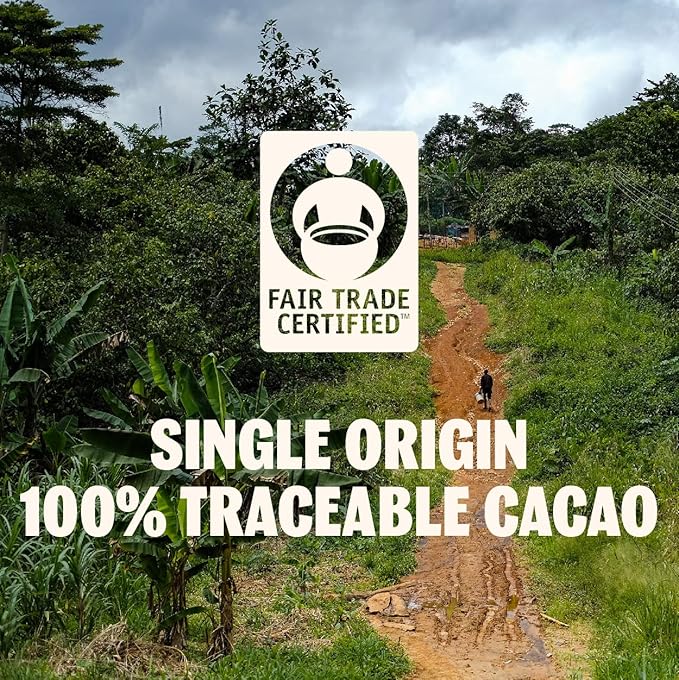 TCHO Holy Fudge 76% Dark Chocolate Bars (10 pack) | Single Origin, Plant Based, Organic & Fair Trade, | Non GMO, Non-Dairy, Vegan Chocolate, Soy Free (2.5oz each)
