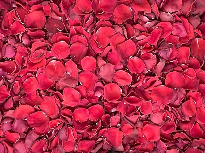 Rose Petals for Wedding Decoration, Bridal Toss, and Aisles, 10 cups, Freeze Dried, Use within 1 month (Red)
