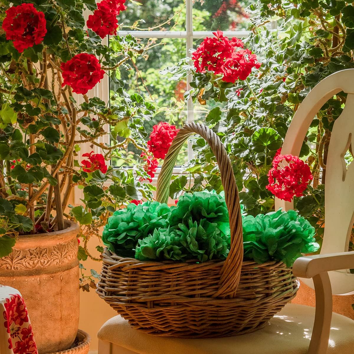 Green Tissue Paper Pom Poms - Green Party Decorations for Birthdays, Weddings, Baby Showers and Special Occasions by Avoseta (16 Piece Set, Assorted Sizes)