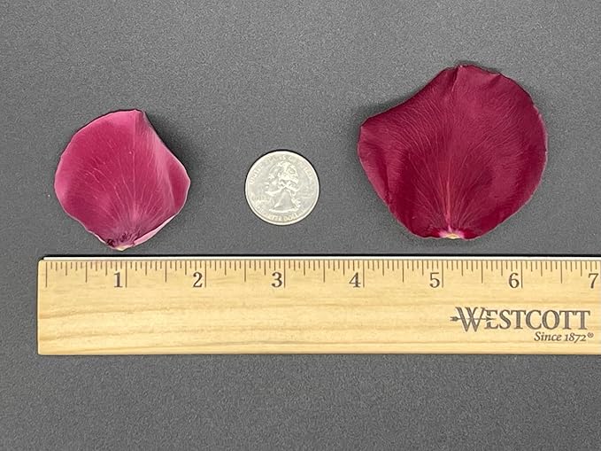 Rose Petals for Wedding Decoration, Bridal Toss, and Aisles, 10 cups, Freeze Dried, Use within 1 month (Burgundy)