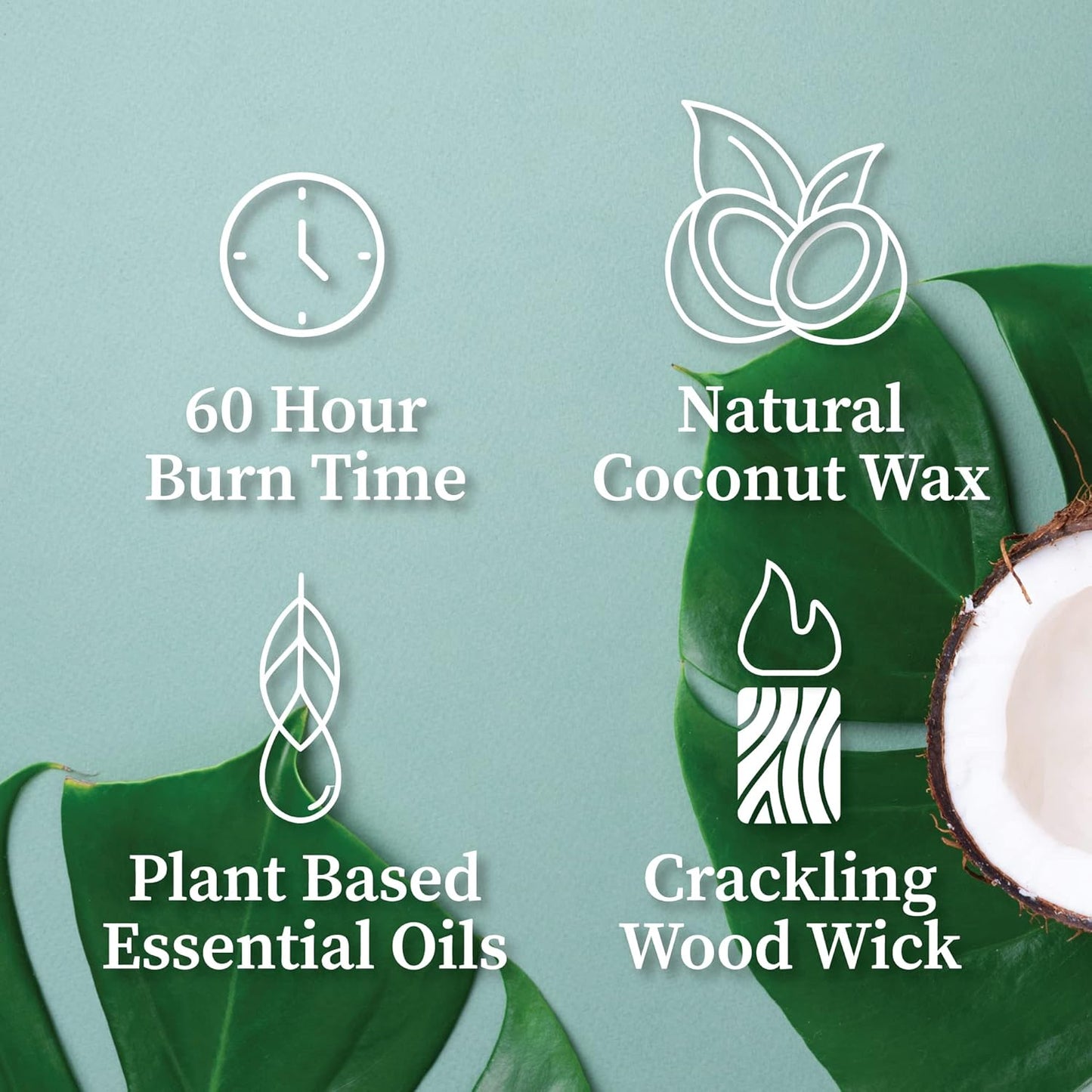 Hemlock Park Crackling Wood Wick Candle Handcrafted with Natural Coconut Wax (Standard 8 oz, Lotus Flower)