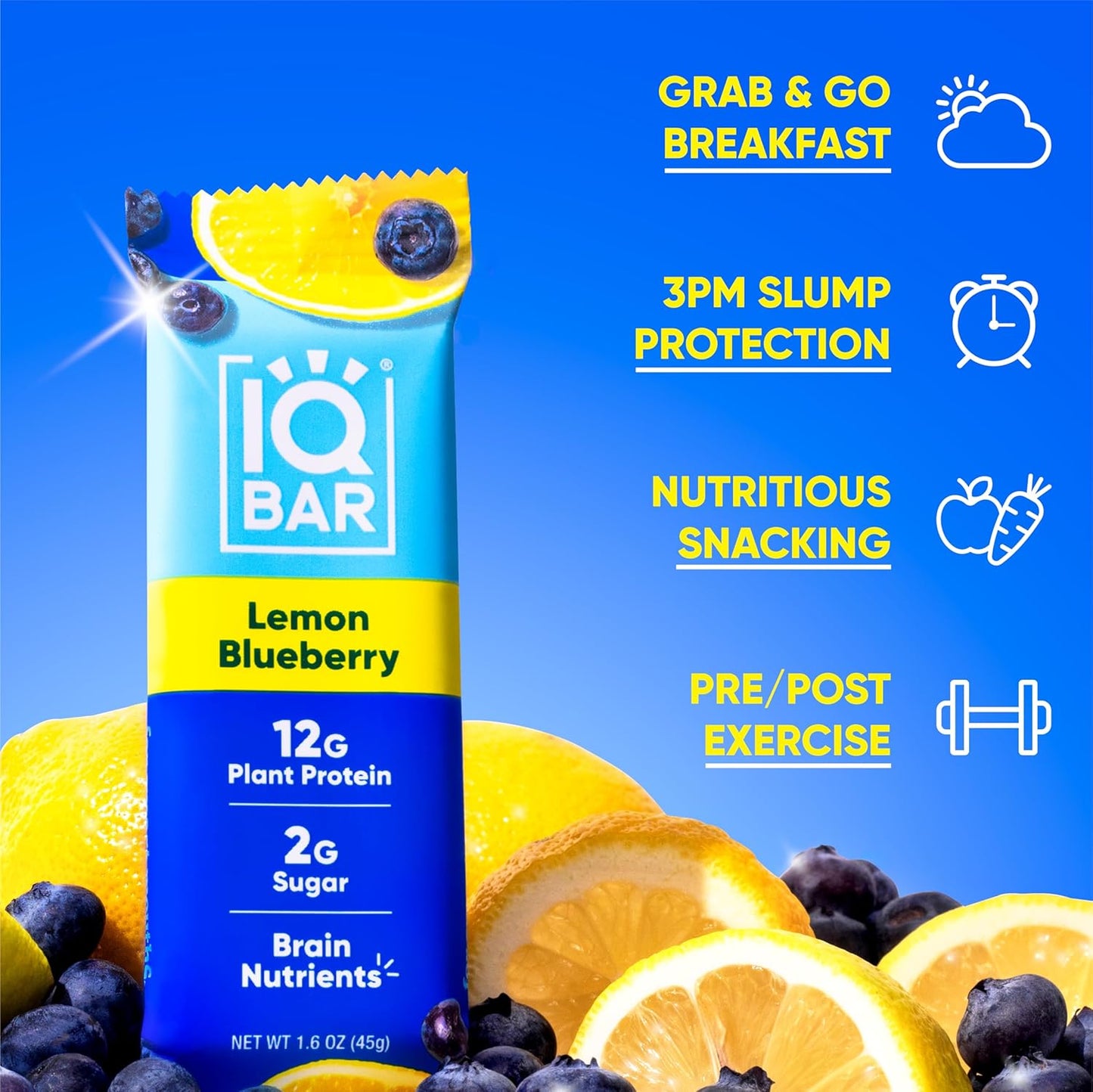 IQBAR Brain and Body Plant Protein Bars - Lemon Blueberry - 36-Count - Keto, Vegan, Low Carb, High Fiber, Gluten Free, Dairy Free, Low Sugar Snack with Nutrients for Focus, Energy, Meal Replacement