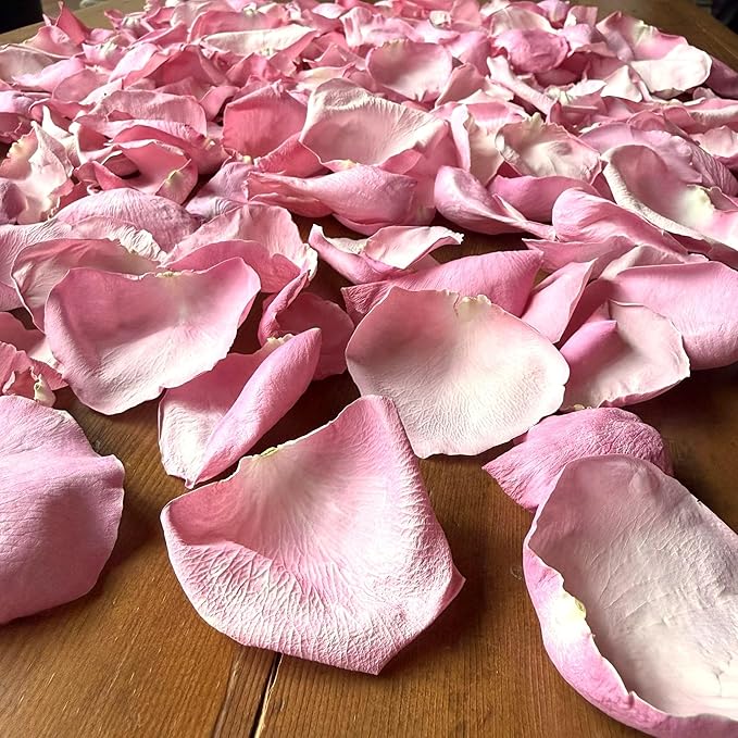 Rose Petals for Wedding Decoration, Bridal Toss, and Aisles, 10 cups, Use within 1 month (Pink)