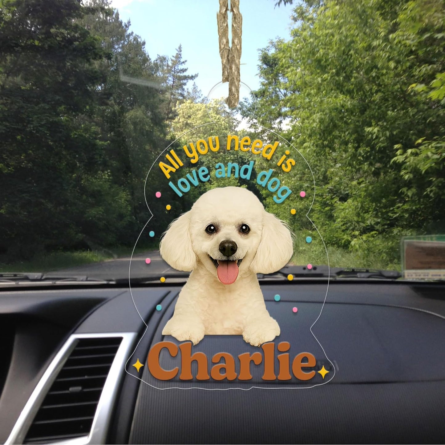 Custom Pet Photo with Name Ornament, Personalized Pet Gift, Gift For Pet Lover, Christmas Pet Decor Acrylic Ornament – Personalized Christmas Tree Decoration, Custom Holiday