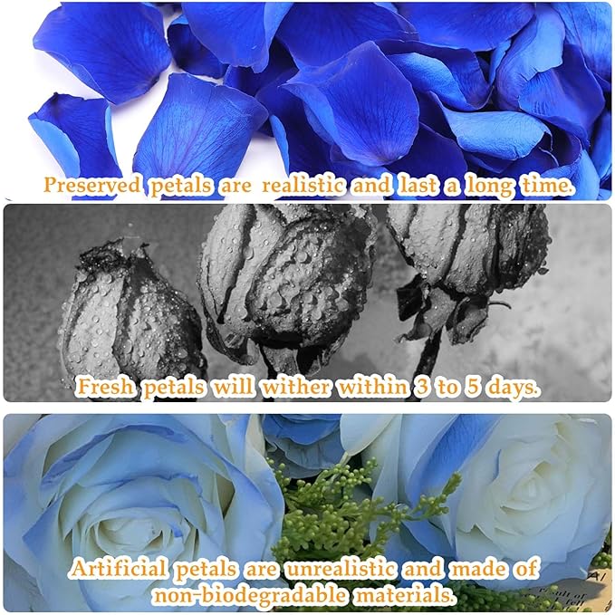 Dried Real Rose Petals, Natural Preserved Dry Flower Petals for Wedding Party Dinner Table Decor, Romantic Night for Her Set, Engagement, Bridal Shower, Valentine's Day, Confetti (1.6 oz, Blue)