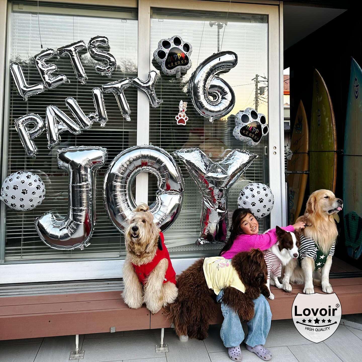 9 Pcs Lets Pawty Balloons Banner 16 Inch, Dog Cat Pet Birthday Letters Sign Lets Pawty Balloons Happy Birthday Banner for Pet Dog Cat Party Supplies Decorations (Silver)