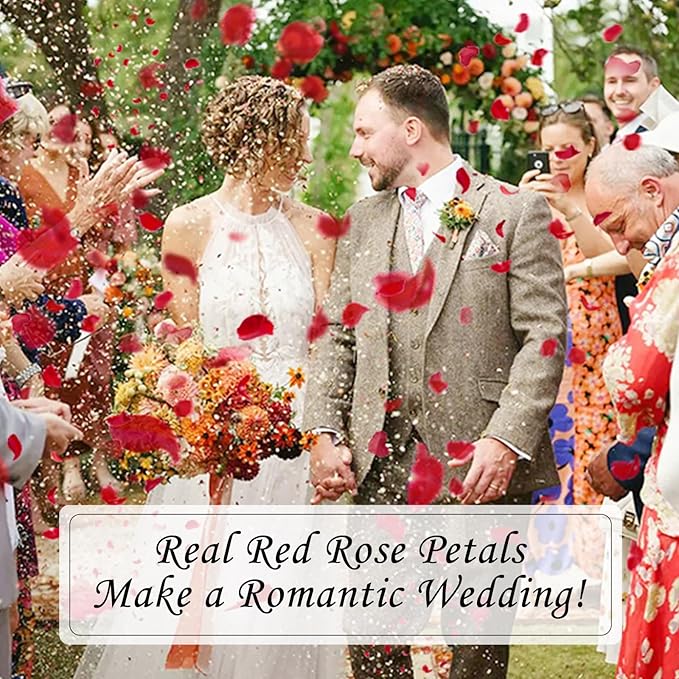 180+PCS Real Red Rose Petals Confetti for Romantic Night, 1.75oz Freeze Dried Preserved Flower Petals for Wedding Aisle, Proposal, Anniversary, DIY Crafts, Table Scatter & Party Decor