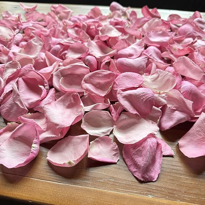 Rose Petals for Wedding Decoration, Bridal Toss, and Aisles, 10 cups, Use within 1 month (Pink)