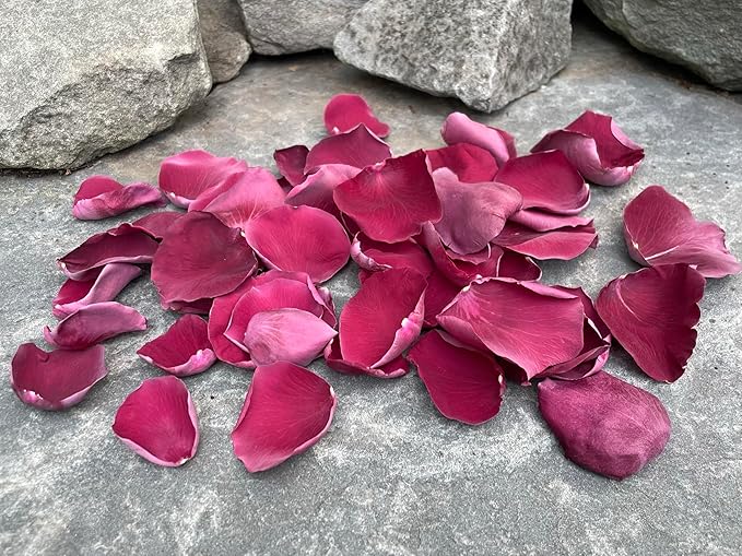 Rose Petals for Wedding Decoration, Bridal Toss, and Aisles, 10 cups, Freeze Dried, Use within 1 month (Burgundy)