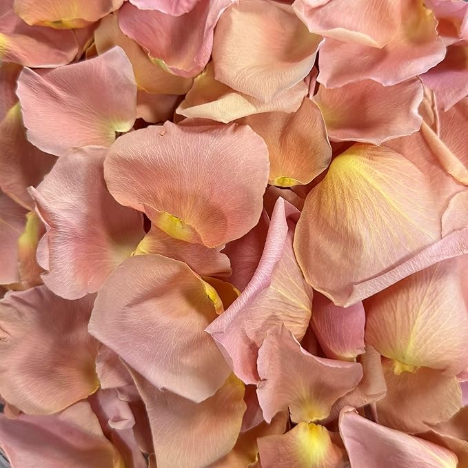 Rose Petals for Wedding Decoration, Bridal Toss, and Aisles, 10 cups, Freeze Dried, Use within 1 month (Peach)