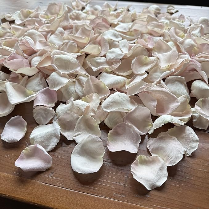 Rose Petals for Wedding Decoration, Bridal Toss, and Aisles, 10 cups, Freeze Dried, Use within 1 month (Bashful)