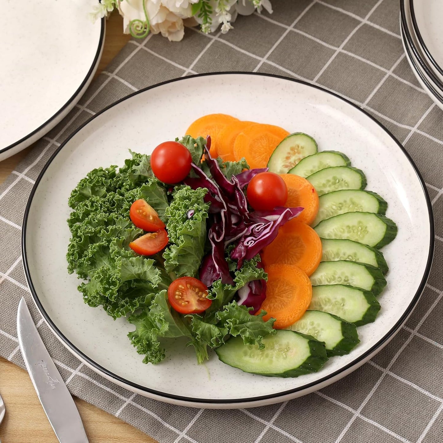 Ceramic White Dinner Plates Set of 6, 10.5 Inch Plates for Kitchen, Microwave Oven and Dishwasher Safe, Modern Dishes Set for Pasta,Steak, Dessert, Salad