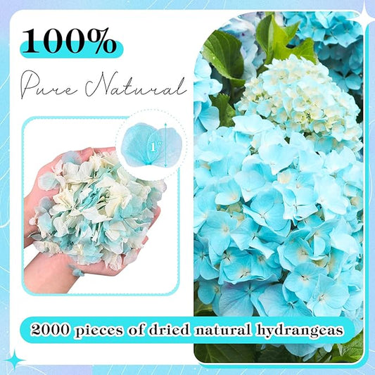 VAIPI 2500 Pieces Hydrangea Flower Petals 1.76 oz Blue White Real Nature Dried Flower Petal for Weddings, Party Flower Confetti, Valentine's Day, Flower Girl Baskets, Romantic Night, Proposal Decor