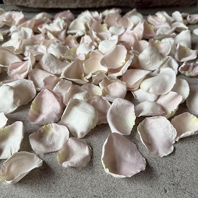 Rose Petals for Wedding Decoration, Bridal Toss, and Aisles, 10 cups, Freeze Dried, Use within 1 month (Bashful)