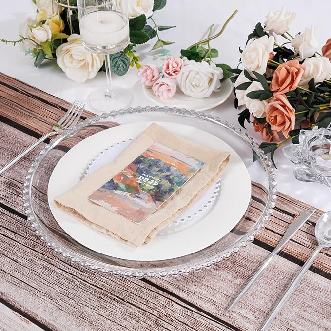 20pcs Clear and Silver Charger Plates 13inch Plastic Charger Plates Plastic Round Dinner Plate with Beaded Rim for Home Birthday Wedding Party Events Table Decor