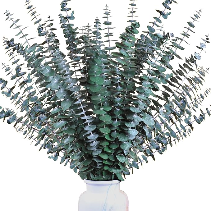 30Pcs Dried Eucalyptus Stems, 17" Real Preserved Eucalyptus Plant for Shower, Fresh Natural Branches for Vase, Eucalyptus Bundle for Home Decor, Wedding, Baby Shower, Bathroom