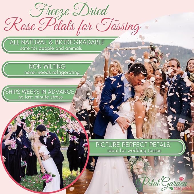 Rose Petals for Wedding Decoration, Bridal Toss, and Aisles, 10 cups, Freeze Dried, Use within 1 month (Ivory)