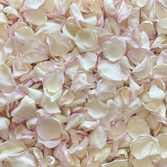 Rose Petals for Wedding Decoration, Bridal Toss, and Aisles, 10 cups, Freeze Dried, Use within 1 month (Whisper)