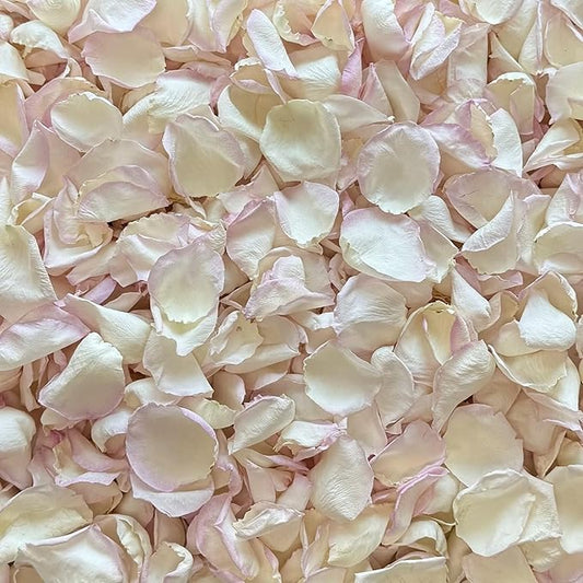 Rose Petals for Wedding Decoration, Bridal Toss, and Aisles, 10 cups, Freeze Dried, Use within 1 month (Whisper)