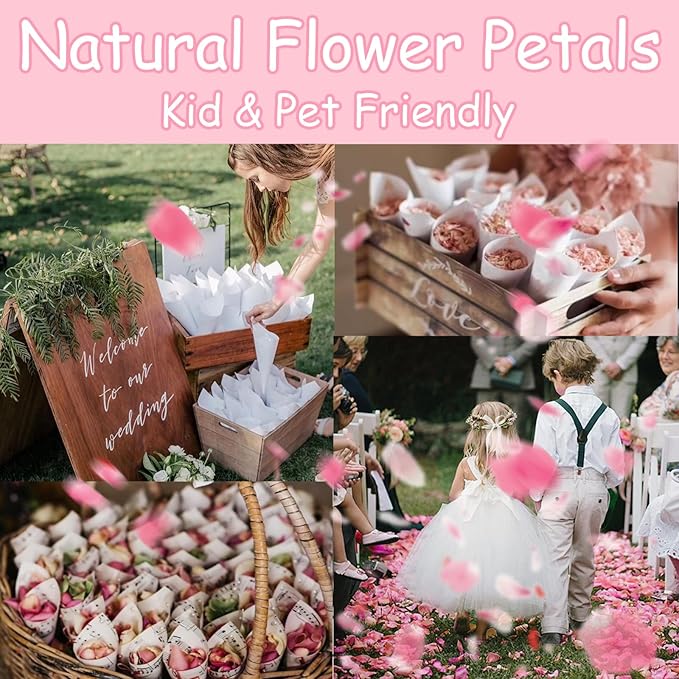 Real Pink Rose Petals – 180+PCS Freeze Dried Flower Confetti for Wedding, Proposal, Romantic Night, Table Centerpiece Décor (1.75oz/50g)