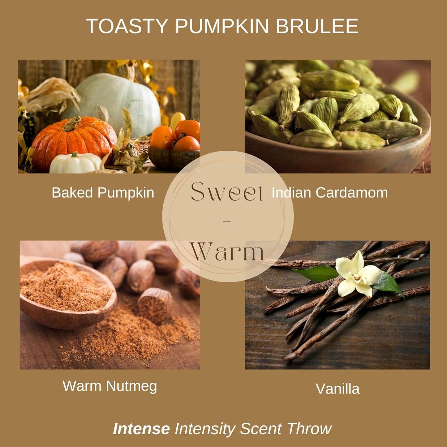 Toasty Pumpkin Brulee - Sweet Pumpkin & Vanilla with Earthy Nutmeg & Cardamom - Perfect Cozy for Fall - Pure Beeswax Candles - 30+ Hours Long Burning - Non-Toxic for Autumn Home Decor - 5 OZ