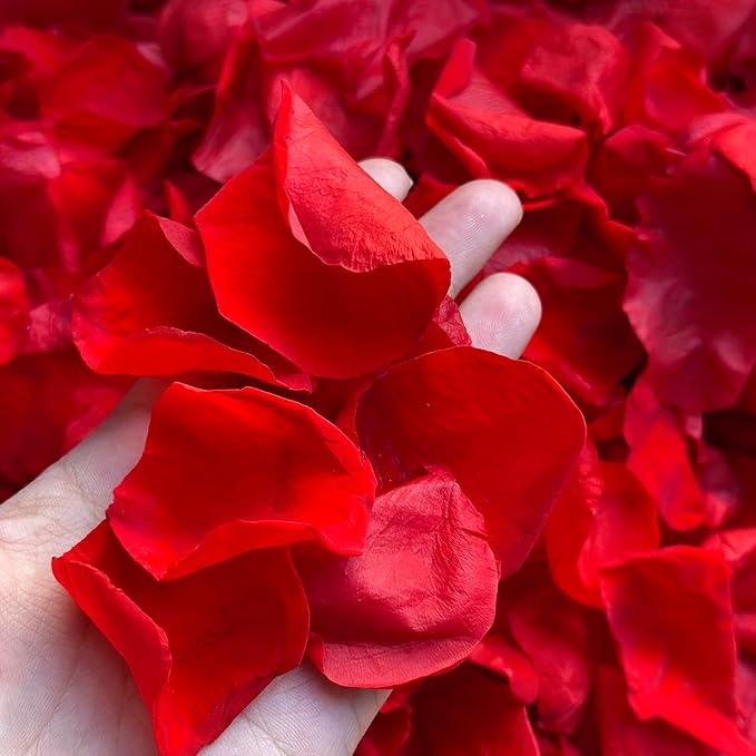 180+PCS Real Red Rose Petals Confetti for Romantic Night, 1.75oz Freeze Dried Preserved Flower Petals for Wedding Aisle, Proposal, Anniversary, DIY Crafts, Table Scatter & Party Decor