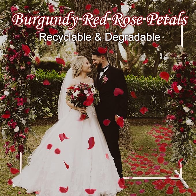 Real Dried Rose Petals – 300+PCS Freeze Dried Red Flower Petals for Weddings, Flower Girl Basket, Party Confetti, Romantic Night, Proposal Decor(2.82oz)