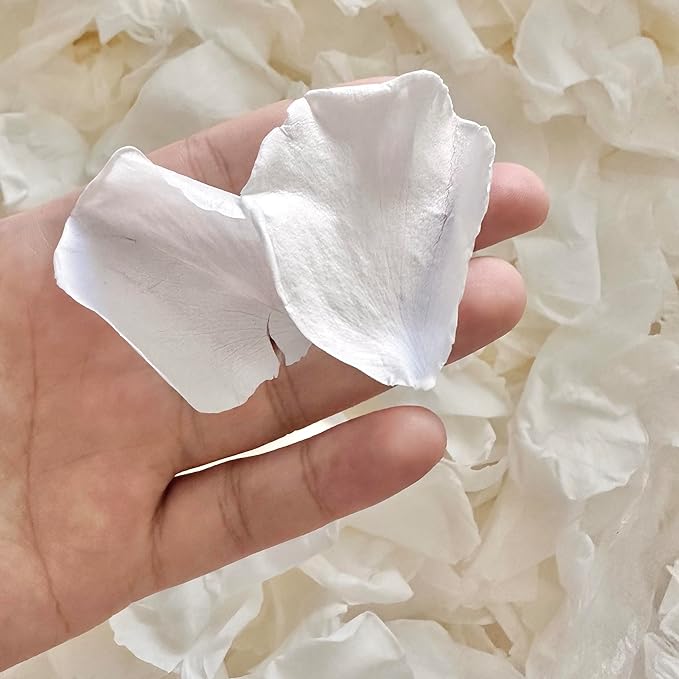 Real White Rose Petals for Weddings, 1.75oz Freeze Dried Preserved Flower Petals for Flower Girl, Table Scatter, Romantic Proposal Décor, Biodegradable Party Confetti (50g)