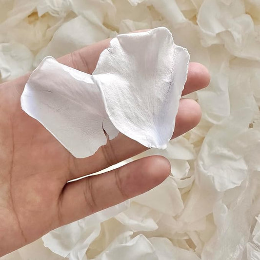 Real White Rose Petals for Weddings, 1.75oz Freeze Dried Preserved Flower Petals for Flower Girl, Table Scatter, Romantic Proposal Décor, Biodegradable Party Confetti (50g)