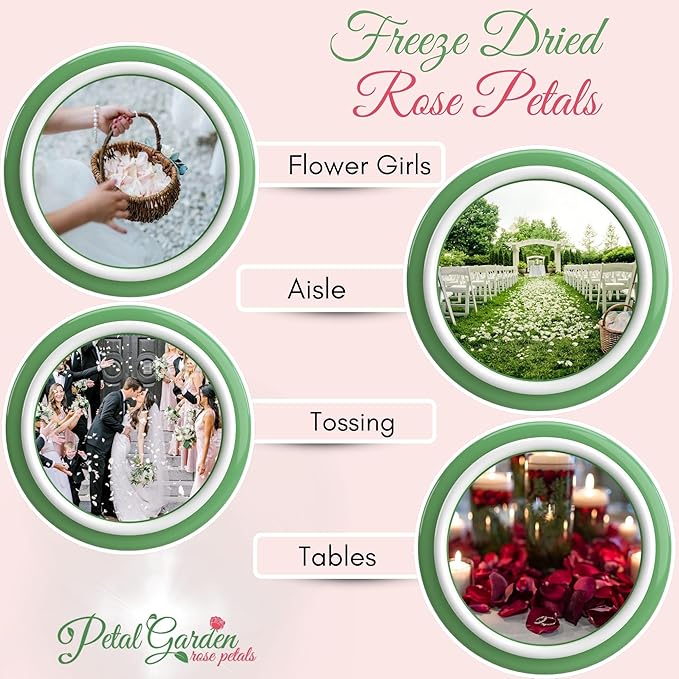Rose Petals for Wedding Decoration, Bridal Toss, and Aisles, 10 cups, Freeze Dried, Use within 1 month (Seashell)