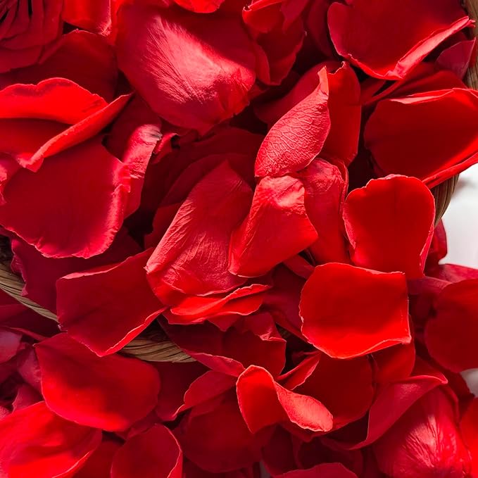 Real Dried Rose Petals – 300+PCS Freeze Dried Red Flower Petals for Weddings, Flower Girl Basket, Party Confetti, Romantic Night, Proposal Decor(2.82oz)