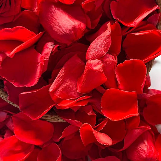 Real Dried Rose Petals – 300+PCS Freeze Dried Red Flower Petals for Weddings, Flower Girl Basket, Party Confetti, Romantic Night, Proposal Decor(2.82oz)