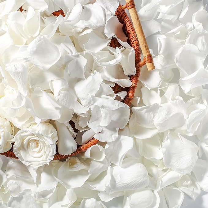 Eslibin Real Dried Ivory White Rose Petals, Frozen Preserved Petals for, Wedding Party Decorations, Bio Confetti, Table Centerpieces, Bridal Shower, 1.58 oz / 45 g