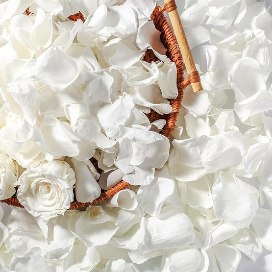 Eslibin Real Dried Ivory White Rose Petals, Frozen Preserved Petals for, Wedding Party Decorations, Bio Confetti, Table Centerpieces, Bridal Shower, 1.58 oz / 45 g