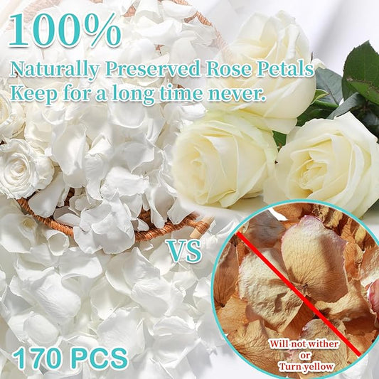 Eslibin Real Dried Ivory White Rose Petals, Frozen Preserved Petals for, Wedding Party Decorations, Bio Confetti, Table Centerpieces, Bridal Shower, 1.58 oz / 45 g