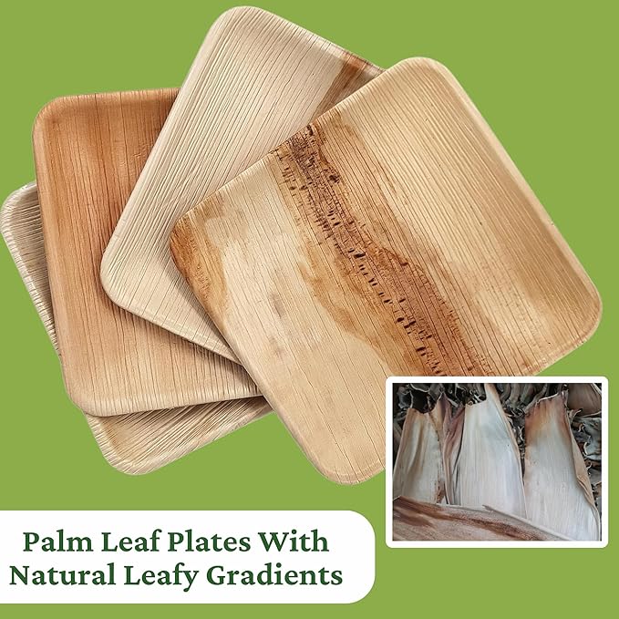 Dtocs Palm Leaf Plates Disposable 7" Square (100) | Compostable Dinnerware for Serving Desserts, Appetizer, Salad, Mini Charcuterie Boards for Camping, Wedding, Birthday | Sturdy than Paper Plates