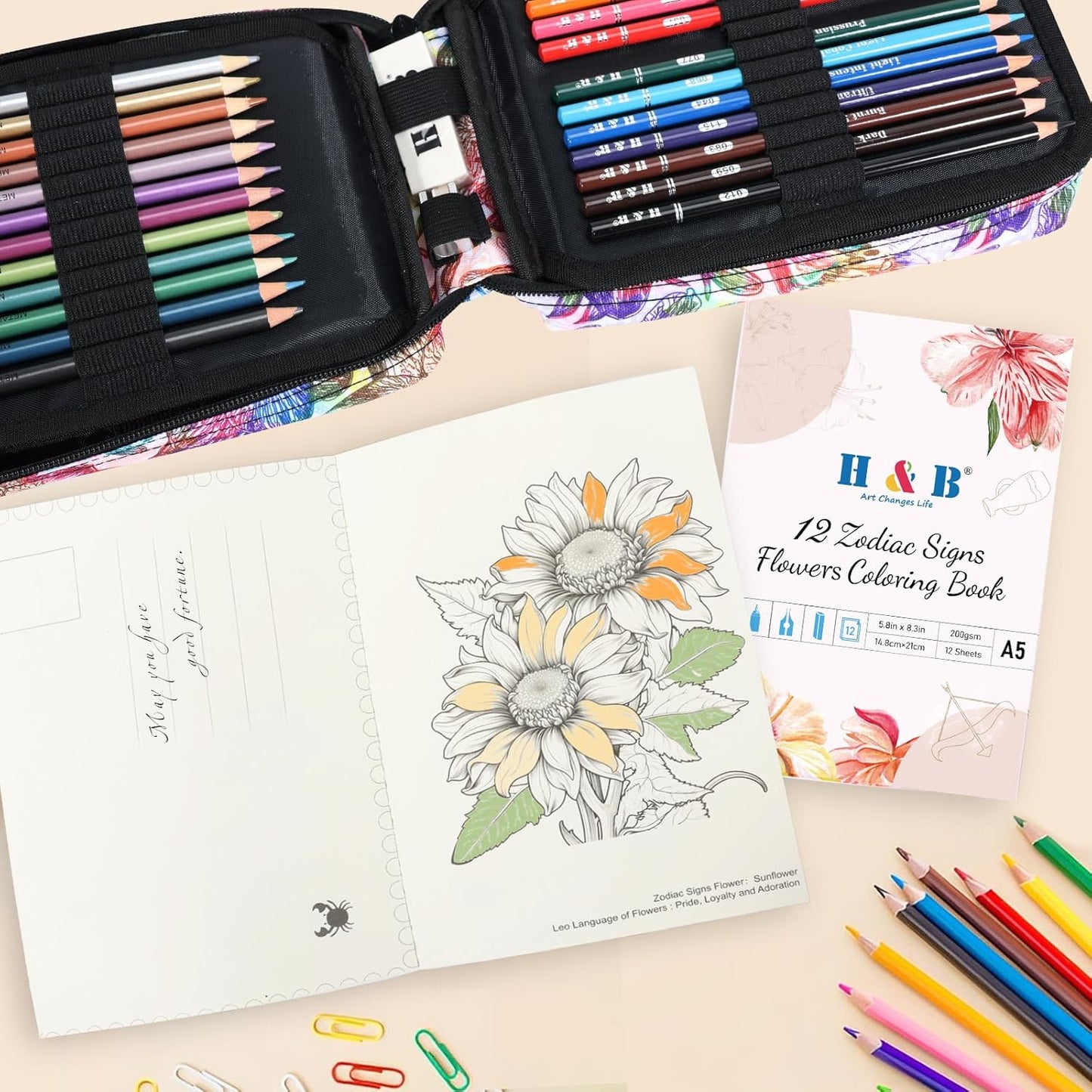 H & B Art Supplies, 72 Pack Drawing Supplies for Adults, Color Kit with Drawing Book, Coloring Book, Watercolor, Metallic Charcoal Macaron Oil-Based Coloured Pencils for Artists