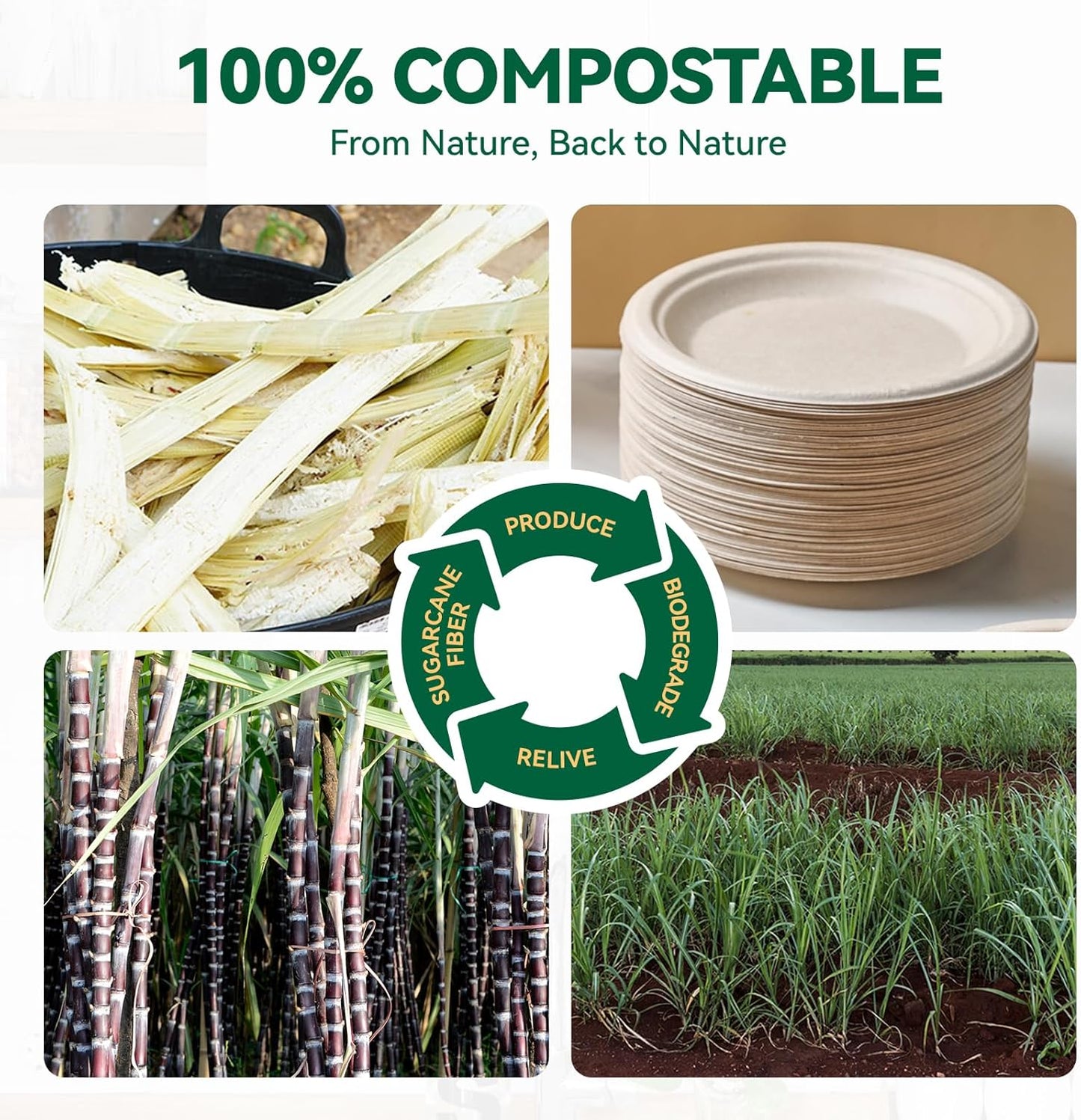 JOLLY CHEF 100% Compostable Small Paper Plates, 200 Pack 6 Inch Heavy Duty Dessert Plates, Disposable Biodegradable Eco-Friendly Sugarcane, Bulk Nature