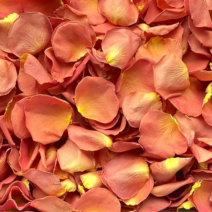 Rose Petals for Wedding Decoration, Bridal Toss, and Aisles, 10 cups, Freeze Dried, Use within 1 month (Coral)