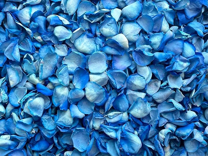 Rose Petals for Wedding Decoration, Bridal Toss, and Aisles, 10 cups, Freeze Dried, Use within 1 month (Blue)