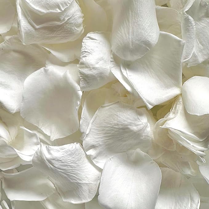 Dried Real White Rose Flower Petals for Wedding, 2.82oz Preserved Dried Ivory Petals for Flower Girl Basket, Dinner Table Centerpieces ,Romantic Night, Proposal Décor(80g)