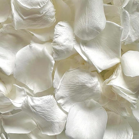 Dried Real White Rose Flower Petals for Wedding, 2.82oz Preserved Dried Ivory Petals for Flower Girl Basket, Dinner Table Centerpieces ,Romantic Night, Proposal Décor(80g)