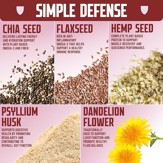 Defender Vegan Protein Bar, Cinnamon Churro Oatmeal, Plant Based Snack Breakfast Bars, Psyllium Husk, High Fiber, Non GMO, Kosher, No Stevia & Sugar Alcohols, 12 Bars, Holiday Gift Item, Stocking Stuffer