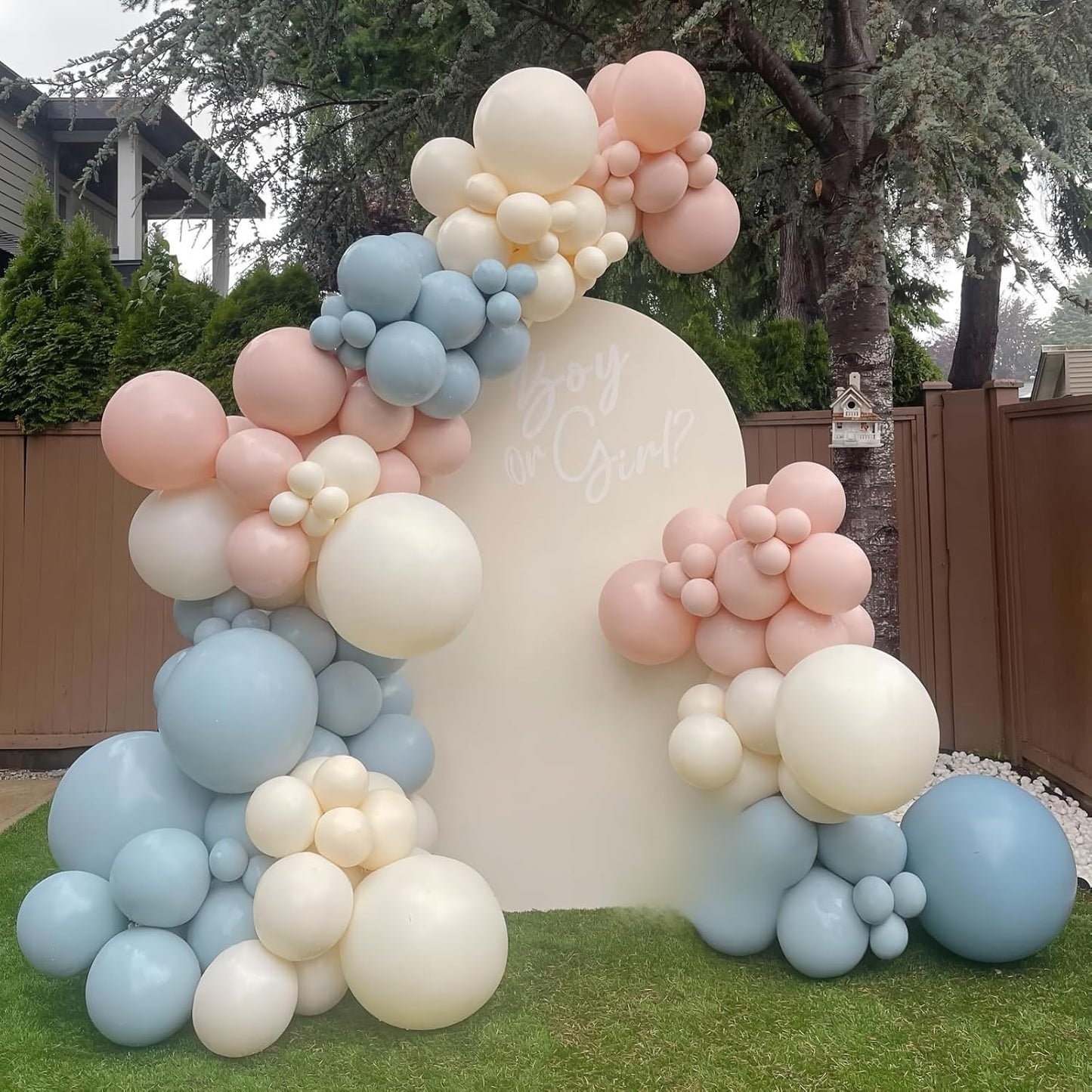 Pink and Blue Balloons Gender Reveal Boy or Girl 12inch Pastel Light Pink Slate Blue Beige White Sand Balloons Birthday Party Decorations Pale Aqua Latex Helium Balloon for Arch Baby Shower Decor