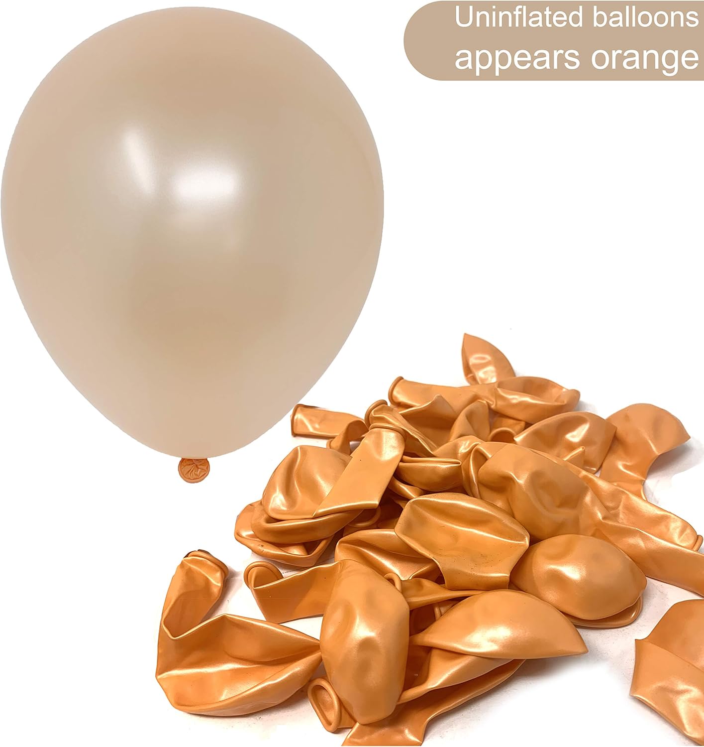 Allgala Latex Balloons for Parties | Helium Grade Bulk Balloon Pack | Ideal for Birthday Party Decorations, Baby Shower, Christmas Party | Colored Balloons for Events | 100ct 12" - Champagne